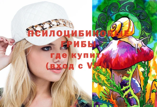 твердый Куйбышев