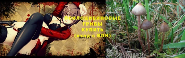 круглые Кукмор